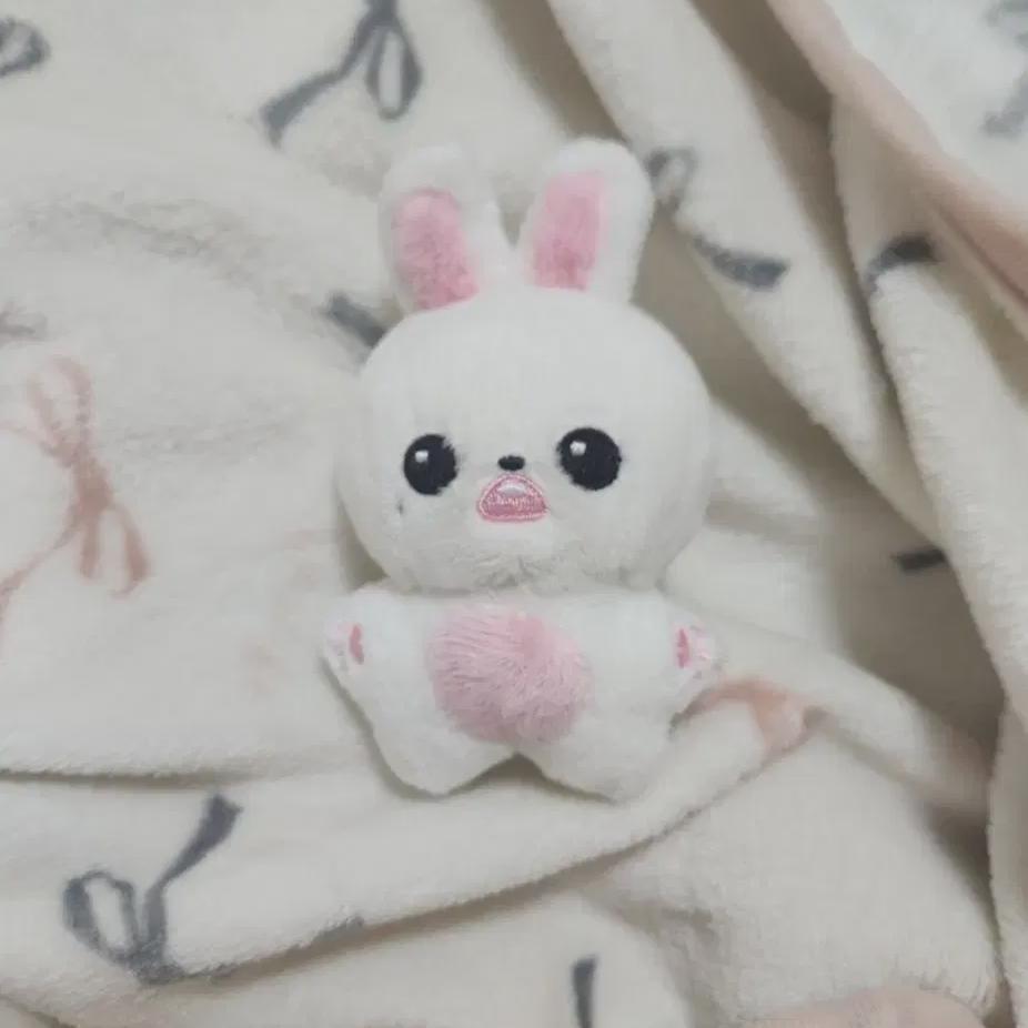 Айв Джан Вон Ён, Кролик